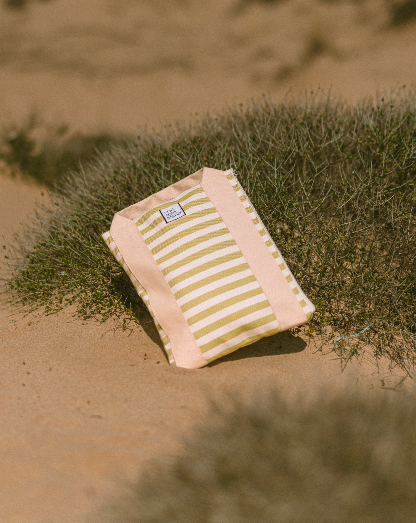 Macaron in Pistacchio stripes